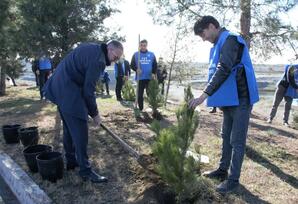 Tərtərdə ağacəkmə aksiyası keçirilib FOTOLAR