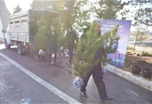 Tərtərdə ağacəkmə aksiyası keçirilib FOTOLAR