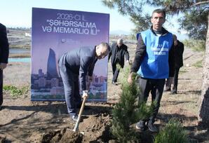 Tərtərdə ağacəkmə aksiyası keçirilib FOTOLAR