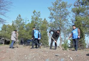 Tərtərdə ağacəkmə aksiyası keçirilib FOTOLAR
