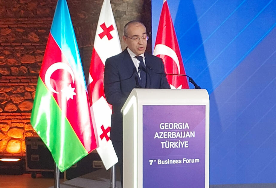 Gürcüstanda keçirilən beynəlxalq biznes-forumda Xocalı qətliamından danışılıb