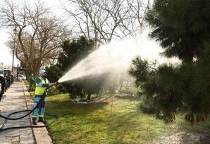 Bakıda Novruz ərəfəsində geniş təmizlik işləri aparılıb - FOTOLAR 