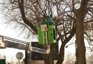 Bakıda Novruz ərəfəsində geniş təmizlik işləri aparılıb - FOTOLAR 