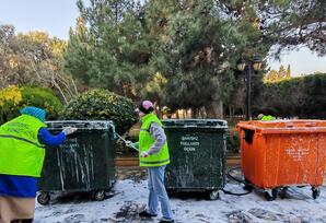 Bakıda Novruz ərəfəsində geniş təmizlik işləri aparılıb - FOTOLAR 