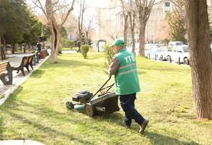 Bakıda Novruz ərəfəsində geniş təmizlik işləri aparılıb - FOTOLAR 