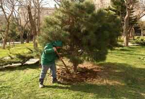 Bakıda Novruz ərəfəsində geniş təmizlik işləri aparılıb - FOTOLAR 