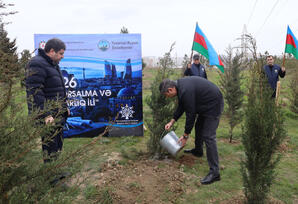 Yasamalda ağacəkmə aksiyası keçirilib FOTOLAR