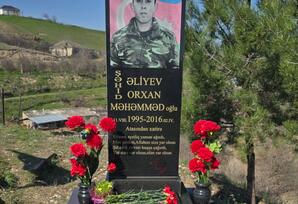 Qazaxda  şəhidlərin xatirəsi yad edilib - FOTOLAR