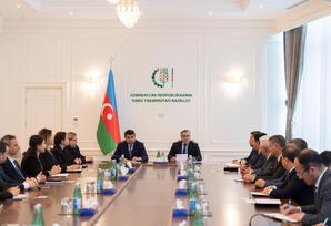 “Yeni Azərbaycan Partiyası: inkişaf və nüfuzun təməl gücü” - FOTOLAR