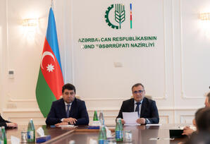 “Yeni Azərbaycan Partiyası: inkişaf və nüfuzun təməl gücü” - FOTOLAR