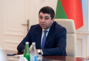 “Yeni Azərbaycan Partiyası: inkişaf və nüfuzun təməl gücü” - FOTOLAR