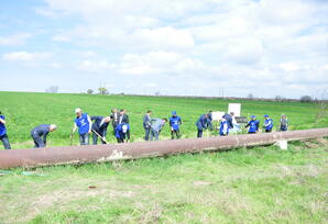 Ağstafa  ağacəkmə aksiyası keçirilib - FOTOLAR