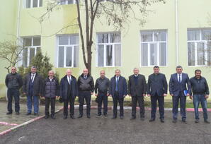 Şəmkirdə ağacəkmə aksiyası keçirilib - FOTOLAR