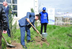 Ağstafa rayonunda ağacəkmə aksiyası keçirilib - FOTOLAR