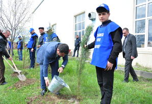 Ağstafa rayonunda ağacəkmə aksiyası keçirilib - FOTOLAR