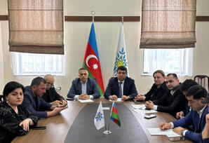 Yasamalda  silsilə idman yarışları keçiriləcək - FOTOLAR