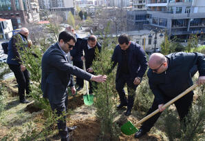 Yasamalda ağacəkmə aksiyası keçirilib - FOTOLAR