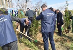 Yasamalda ağacəkmə aksiyası keçirilib - FOTOLAR