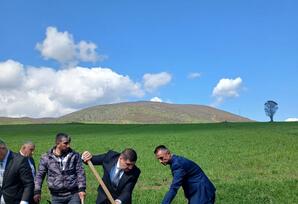 Dağlar diyarında ağacəkmə aksiyası - FOTOLAR