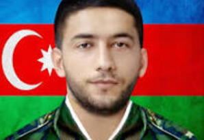 Vətəni yaşadan Vətən oğlu - FOTO