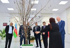 “Şəhid qardaşlar” ev muzeyi ziyarət  olunub - FOTOLAR