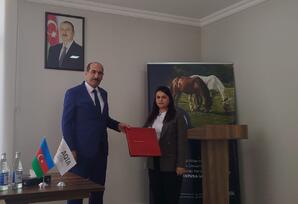 “Heydər Əliyev və Azərbaycançılıq məfkurəsi” -FOTOLAR