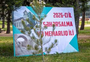 Şəmkirdə ağacəkmə aksiyası keçirildi - FOTOLAR
