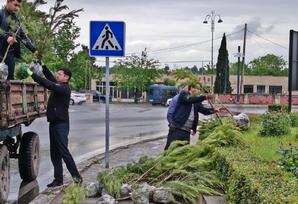 Tərtərdə ağacəkmə aksiyası keçirilib - FOTO