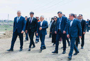Sabunçu rayonunda ağacəkmə aksiyası keçirilib - FOTOLAR