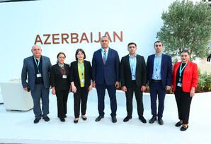 YAP Sabunçu və Binəqədi rayon təşkilatlarının nümayəndələri WUF13-ü ziyarət ediblər