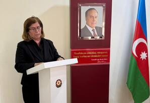 “Qurtuluşdan inkişafa: müdrik siyasətin uğurlu nəticələri”