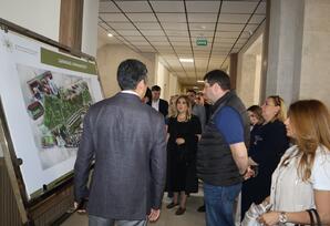 YAP Yasamal rayon təşkilatının nümayəndələri Qarabağa səfər edib - FOTOLAR