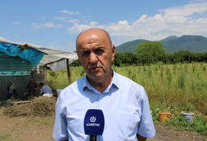 Oğuzda kənd təsərrüfatı yeni mərhələdə