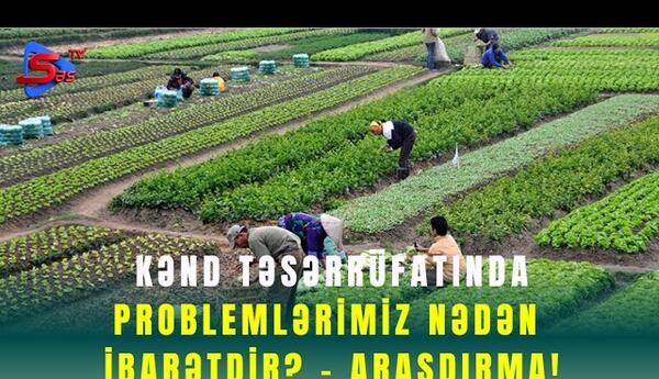 Kənd Təsərrüfatında Problemlərimiz Nədən İbarətdir? - ARAŞDIRMA!