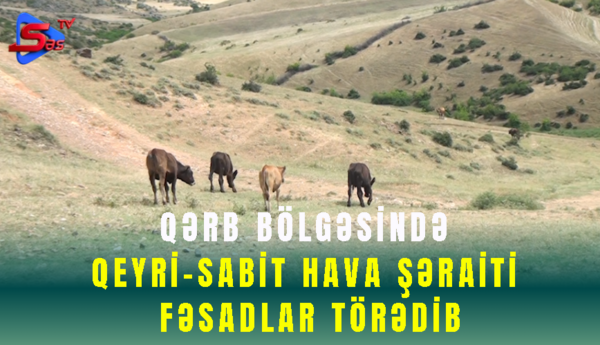 Qərb bölgəsində qeyri-sabit hava şəraiti fəsadlar törədib – SON DƏQİQƏ!