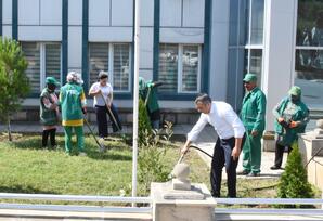 YAP Qaradağ rayon təşkilatının inzibati binasının yerləşdiyi ərazidə iməclik keçirilib