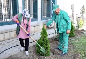 YAP Qaradağ rayon təşkilatının inzibati binasının yerləşdiyi ərazidə iməclik keçirilib