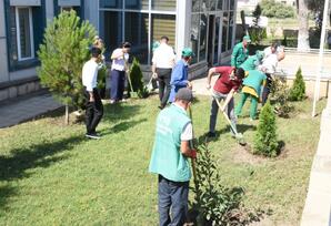 YAP Qaradağ rayon təşkilatının inzibati binasının yerləşdiyi ərazidə iməclik keçirilib - FOTO