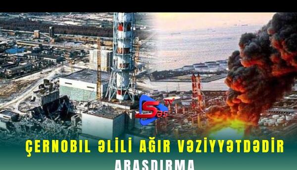 Çernobıl əlili ağır vəziyyətdədir - ARAŞDIRMA