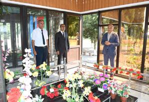 Şəhid anası Rəşxəndə Həsənova ziyarət olunub - FOTO