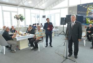 Ahıllar böyük həyat təcrübəsinə malikdirlər - FOTO