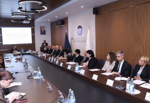 Nəsimi rayonunda YAP-ın VIII Qurultayından irəli gələn məsələlərə həsr olunmuş növbəti müşavirə keçirilib - FOTOLAR
