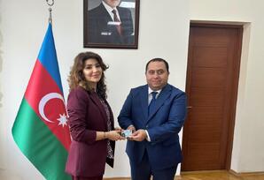 YAP Nərimanov rayon təşkilatında VIII Qurultaydan irəli gələn tapşırıqların icrası müzakirə olunub