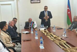 Ölkəmizin davamlı inkişafı naminə qarşıda duran prioritet istiqamətlər