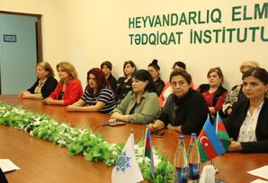 YAP Göygöl rayon təşkilatının ərazi partiya təşkilatlarında silsilə yığıncaqlar keçirilir