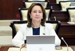 AQEM platformasında Azərbaycanın sülh, təhlükəsizlik və əməkdaşlıq gündəliyi
