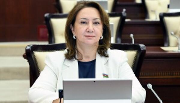 AQEM platformasında Azərbaycanın sülh, təhlükəsizlik və əməkdaşlıq gündəliyi
