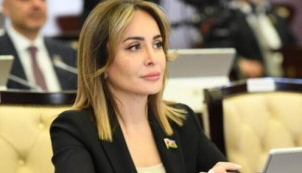 AQEM-in 7-ci zirvə görüşü Azərbaycanın regional təhlükəsizliyin təmin olunmasındakı rolunu nümayiş etdirdi