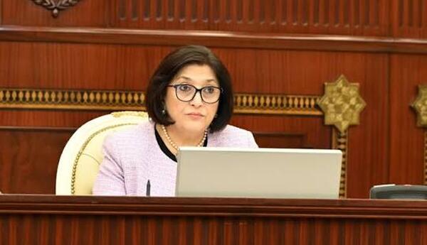 Azərbaycanın suverenliyi tarixi qələbələrlə möhkəmləndirilib -SAHİBƏ QAFAROVA