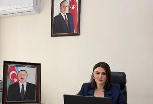 AQEM platformasında Azərbaycanın suverenliyi və milli iradəsinin təntənəsi - ŞƏRH